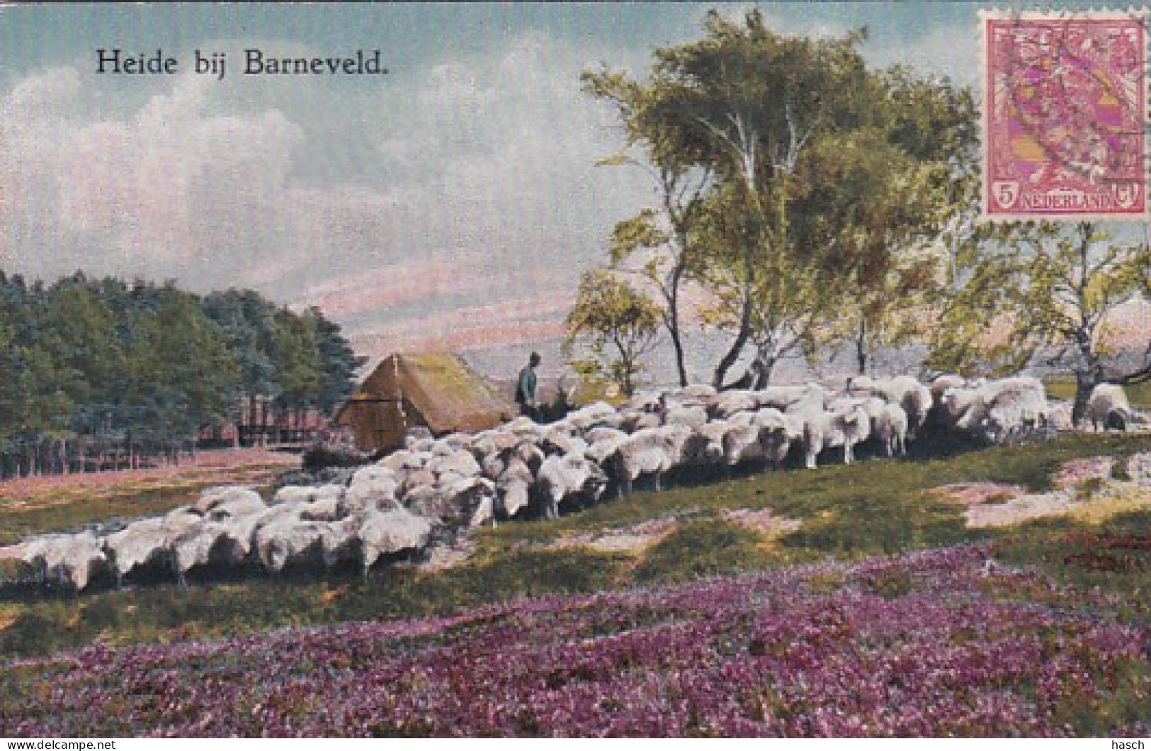 270368Heide Bij Barneveld. – 1924 (kleine Beschadiging Schaapskooi) - Barneveld