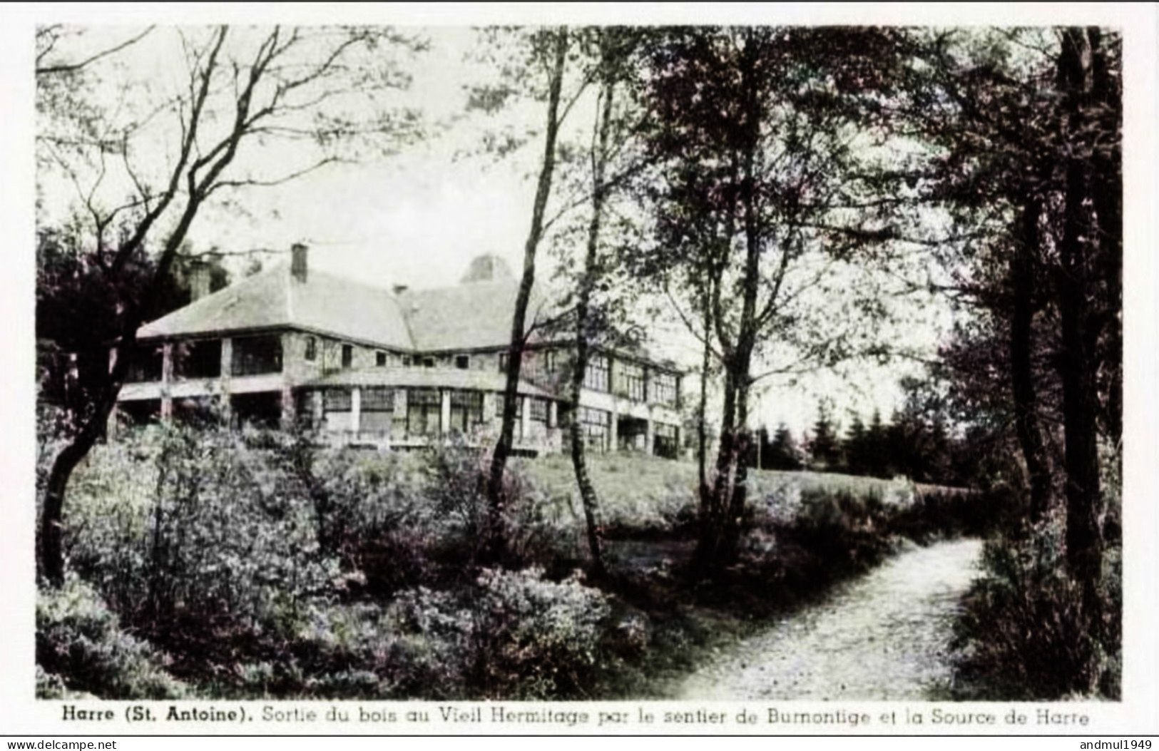 HARRE (St Antoine) - Sortie Du Bois Au Vieil Hermitage Par Le Sentier De Burnontige Et La Source De Harre - Manhay