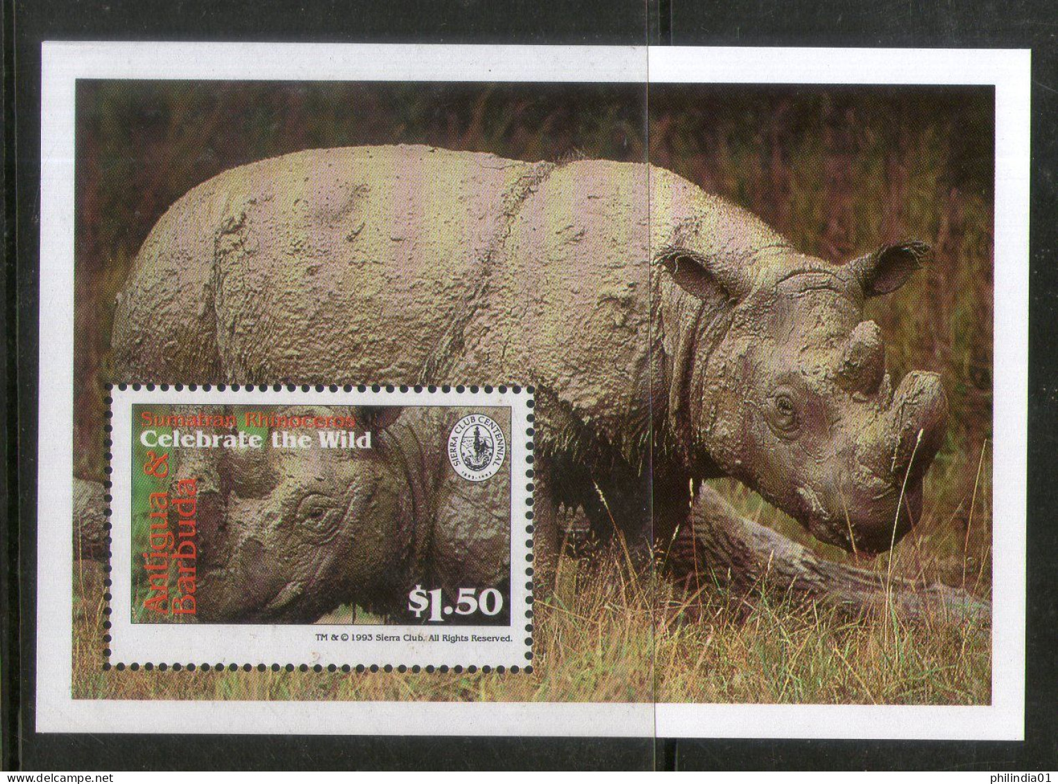 Antigua 1994 Rhinoceros Wildlife Animals Sc 1778 M/s MNH # 5618 - Rhinoceros
