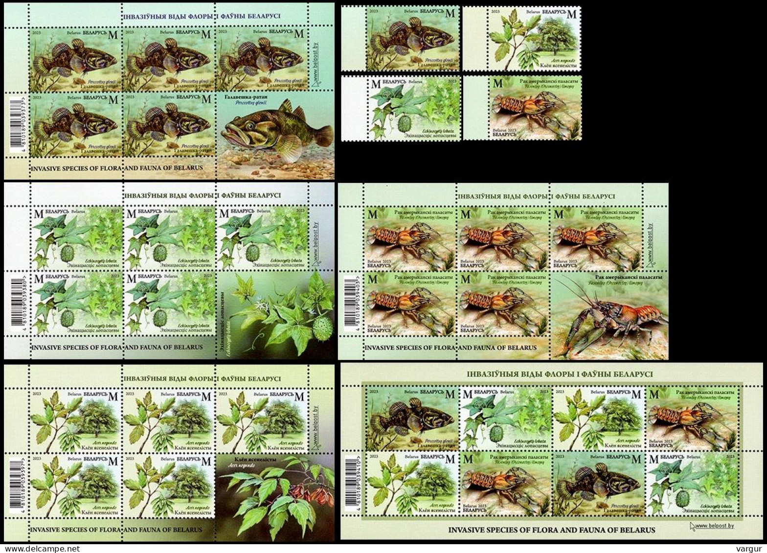 BELARUS 2023-13 Invasive FLORA & FAUNA: Fish Lobster Plants. Set & 5 Sheets, MNH - Protection De L'environnement & Climat