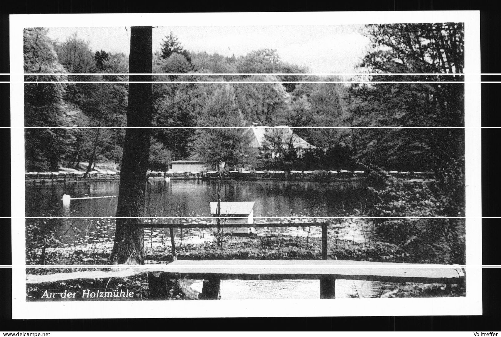 Orig. Foto Mehrbild AK 50er Jahre Springe Am Deister,  Waldgaststätte Holzmühle Am Saupark - Springe