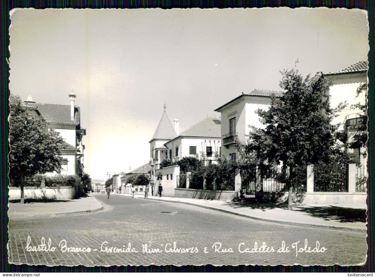 CASTELO BRANCO - Avenida Nun'Alvares E Rua Cadetes De Toledo. ( Ed. Foto Herminios ) Carte Postale - Castelo Branco