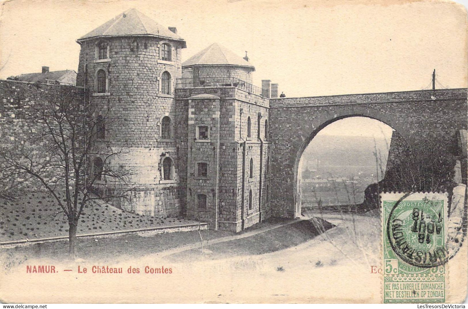 BELGIQUE - Namur - Le Château Des Comtes - Carte Postale Ancienne - Namur