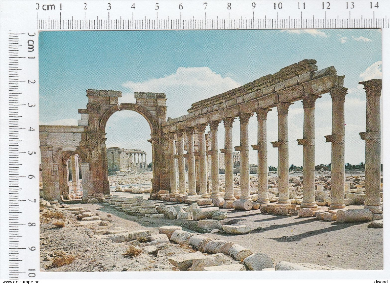 Syria - Palmyra - Great Colonnade - Syrie