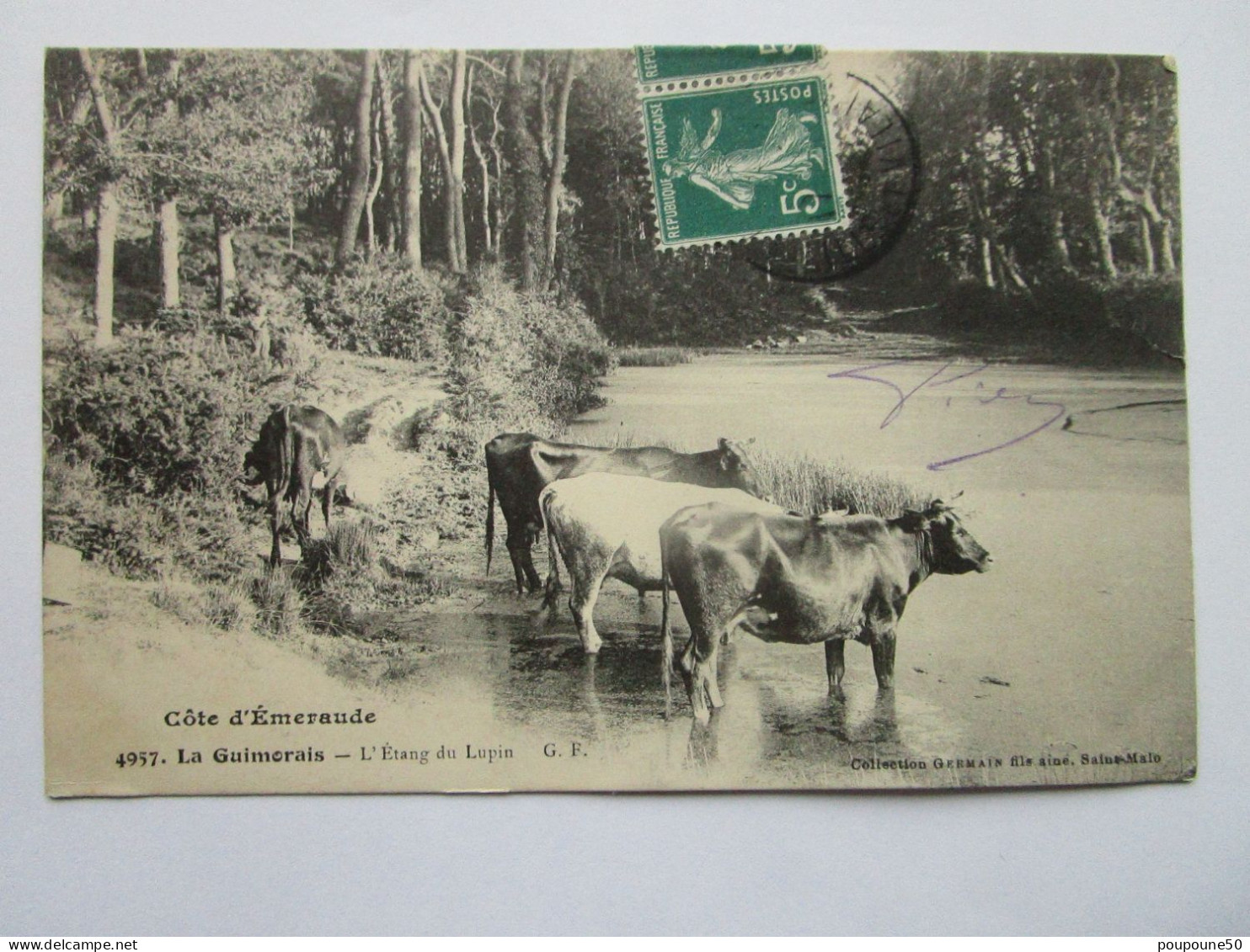 CPA 35 Ille Et Vilaine Saint Coulomb Rotheneuf  LA GUIMORAIS - Les Vaches à L'abreuvage L'étang Du LUPIN Timbrée 1910 - Saint-Coulomb