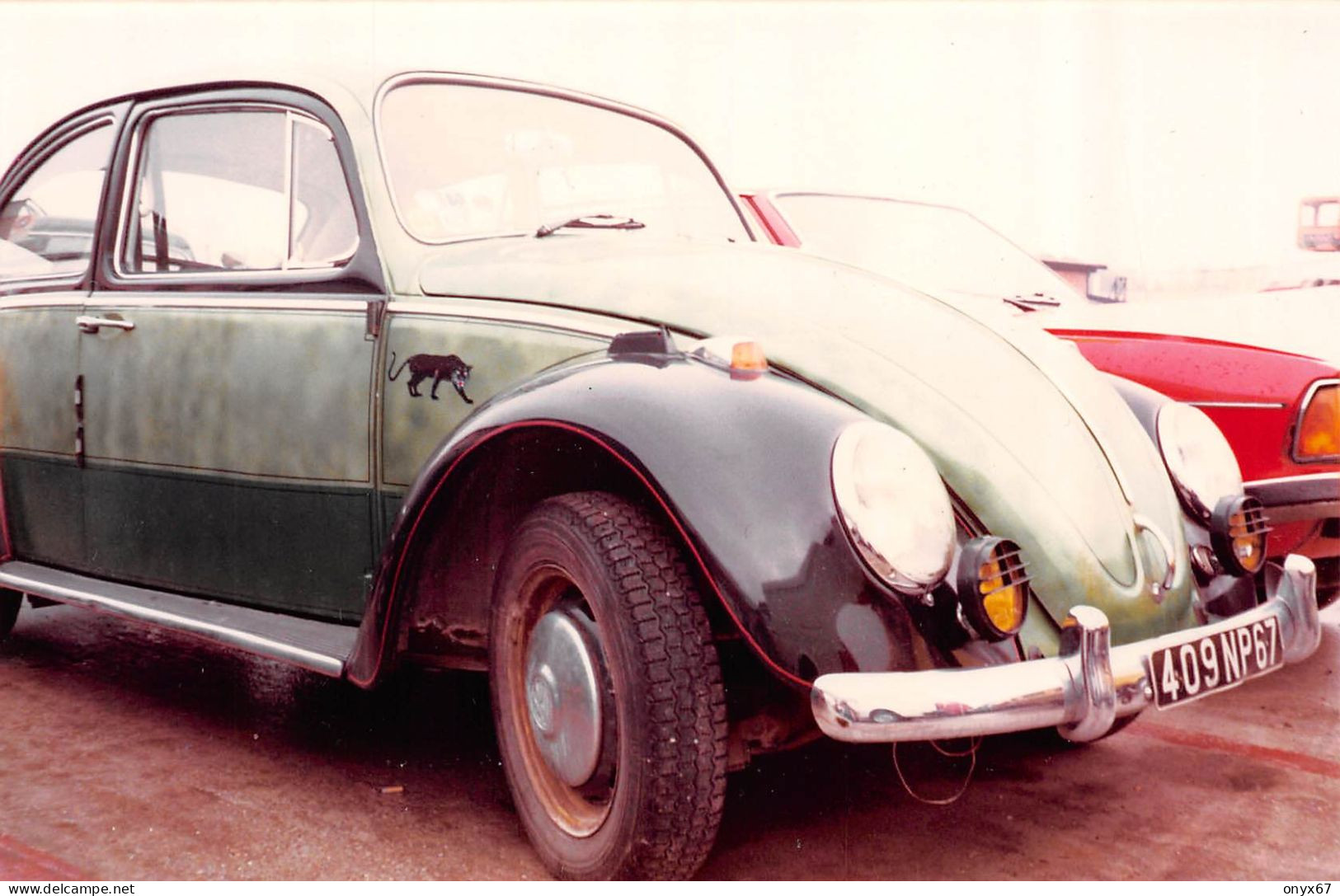 PHOTO 9,5 X 14,5 Cms  VOITURE AUTO AUTOMOBILE VOLKSWAGEN-COCCINELLE  TRANSPORT - KFZ