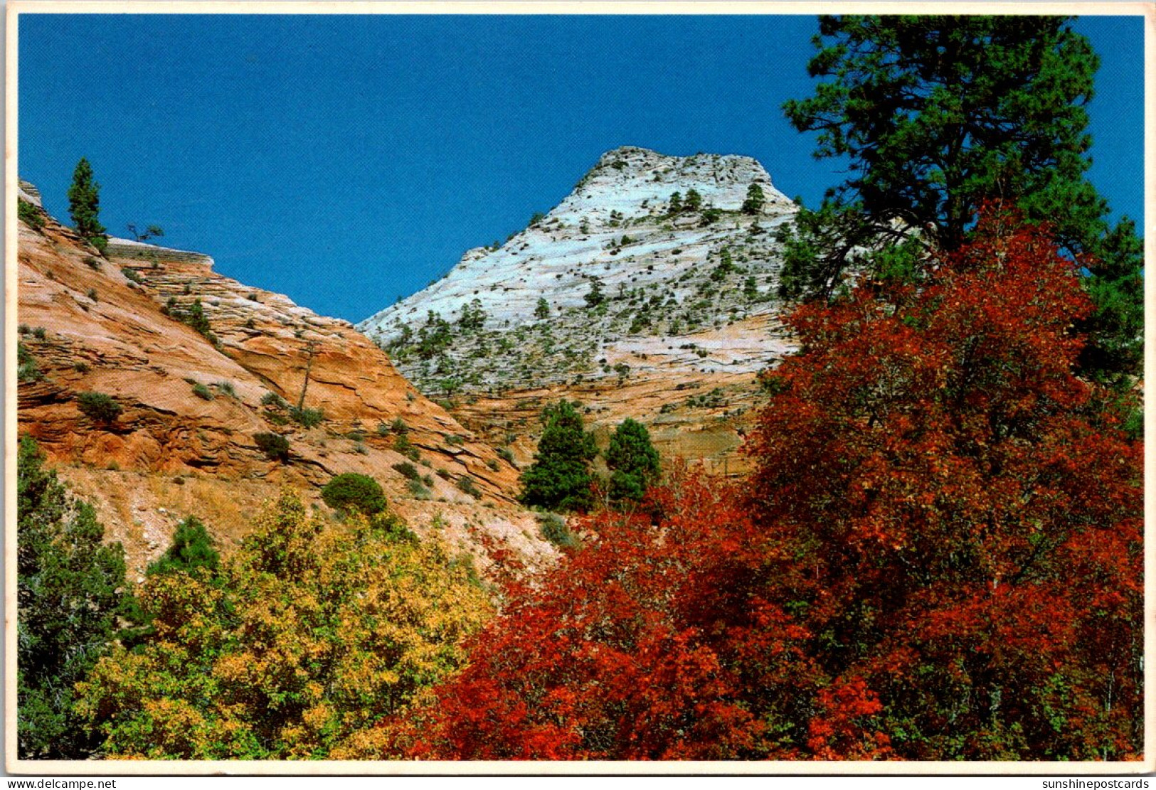 Utah Zion National Park Checkerboard Mesa Near The East Entrance - Zion