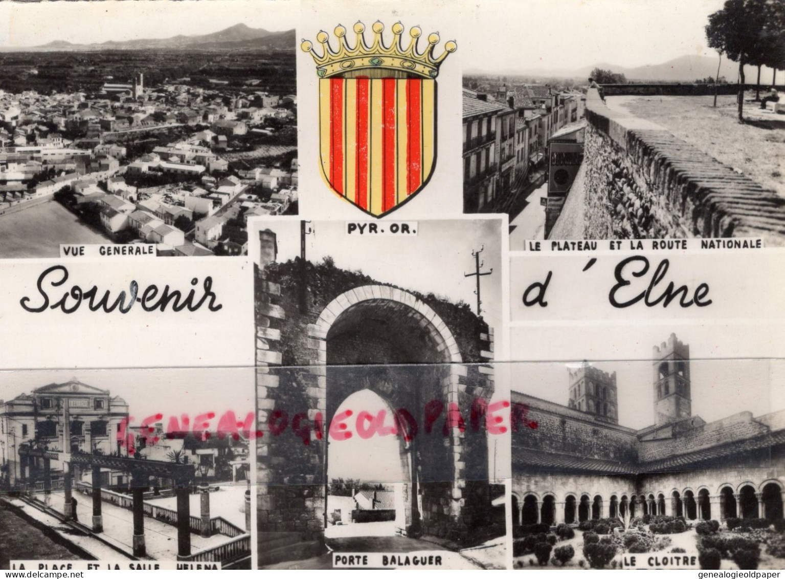 66- ELNE - SOUVENIR CLOITRE- PORTE BALAGUER- PLACE ET SALLE HELENA- VUZ GENERALE - Elne