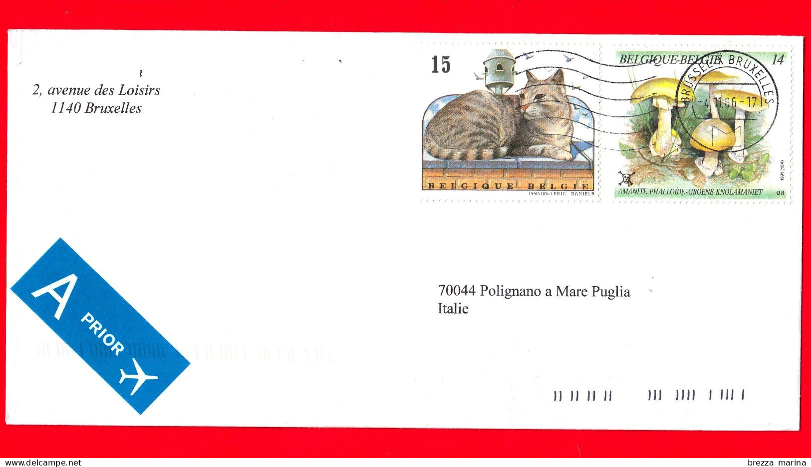 BELGIO ~ Storia Postale ~ Busta Del 2006 - ( 1991 - Funghi Amanita Phalloides - 1993 - Gatti Silver Tabby  ) - Lettres & Documents
