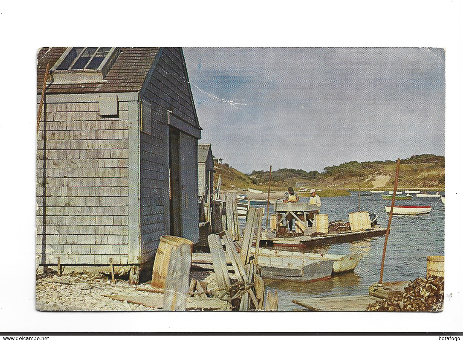 CPA OYSTER HOUSES, CHATHAM CAPE COD ( Voir Timbre) - Cape Cod