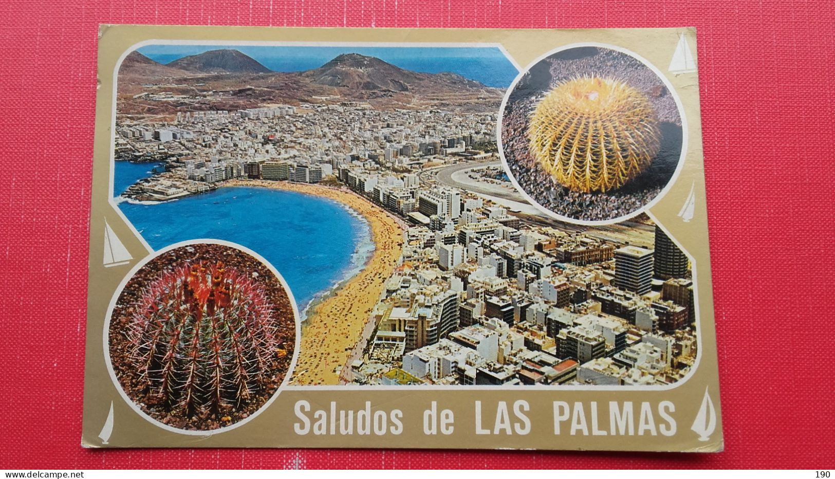 Gran Canaria.Las Palmas - Cactus