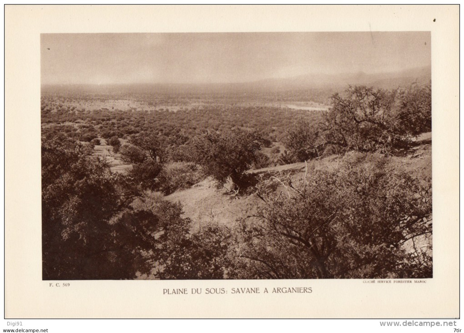 MAROC PLAINE DU SOUS SAVANE A ARGANIERS - Andere Plannen