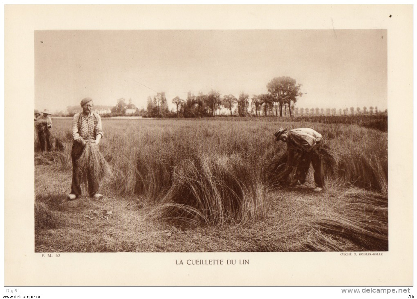 LE CEUILLETTE  DU LIN  ( Vie Rurale Agriculture ) - Other Plans