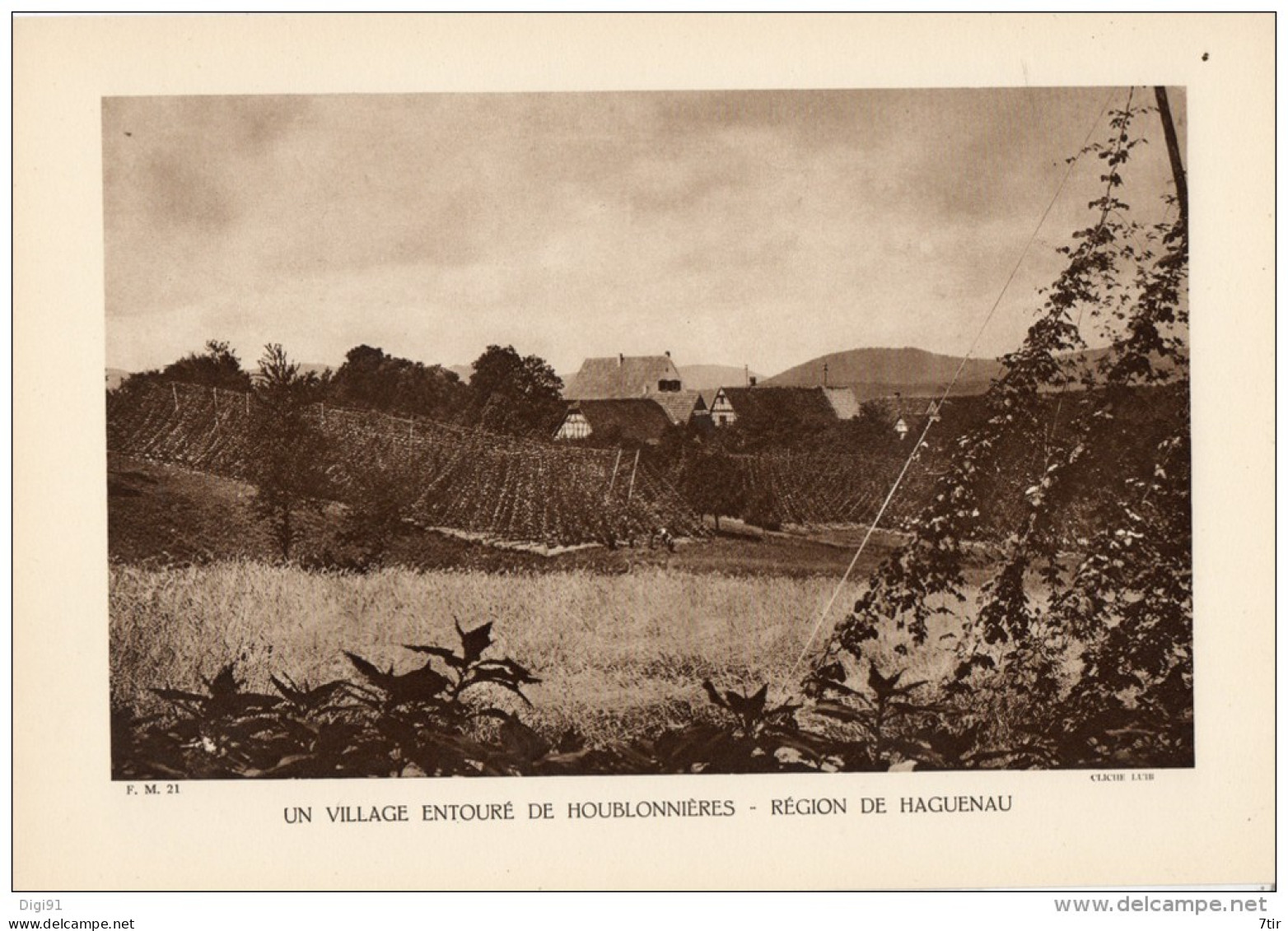 UN VILLAGE ENTOURE DE HOUBLONNIERES REGION DE HAGUENAU - Other Plans