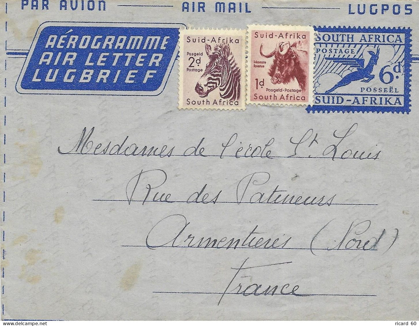 Aérogramme Afrique Du Sud, Zèbre - Airmail