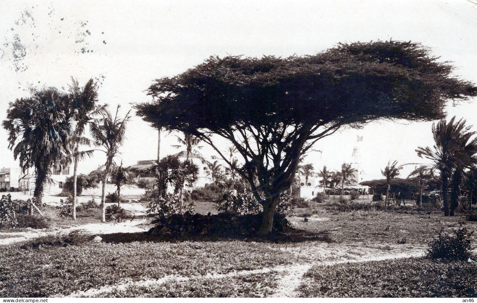 MOGADISCIO - Giardini Pubblici - Vgt. 1929 (di Interesse Filatelico) - Somalia