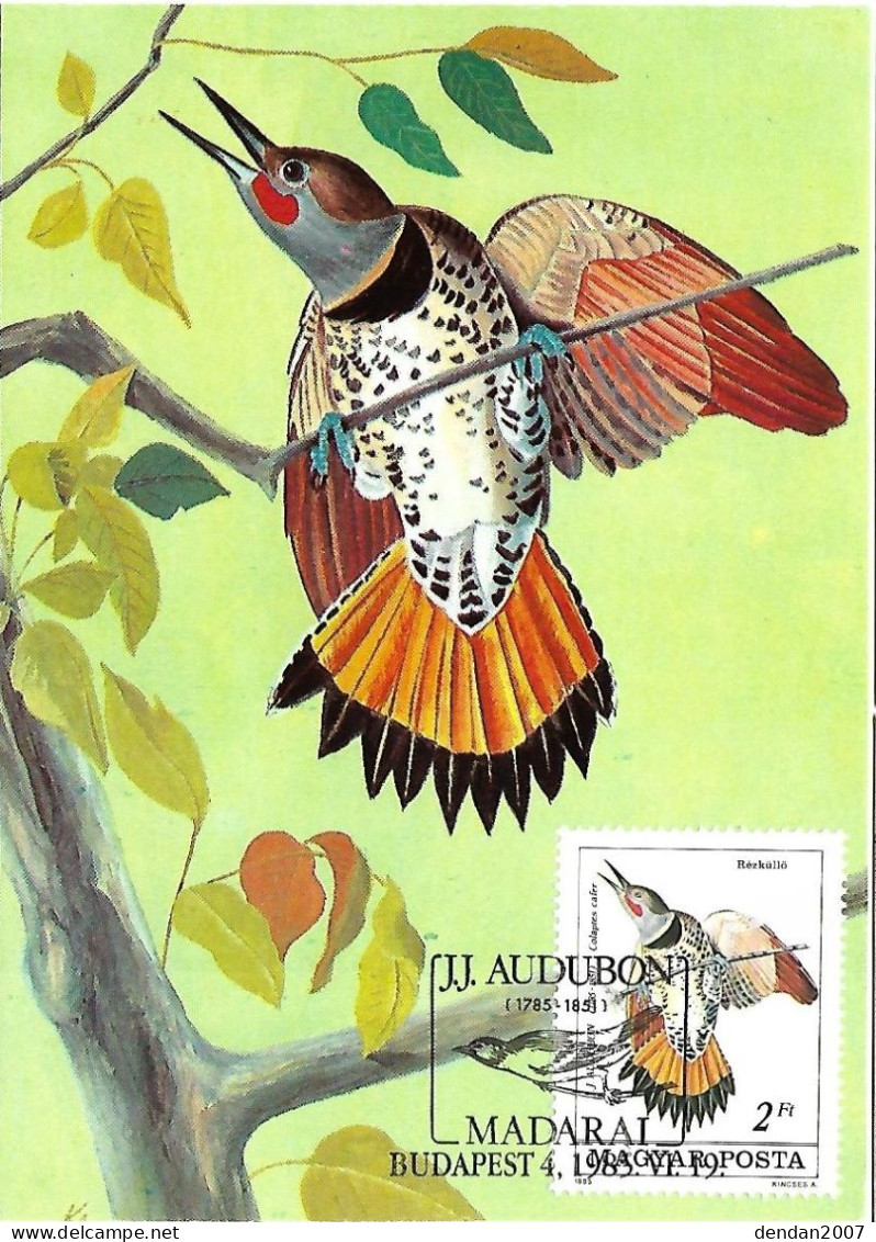 France - Maximumcard 1985 - J.J. AUDUBON :   Northern Flicker  -  Colaptes Auratus - Piciformes (pájaros Carpinteros)