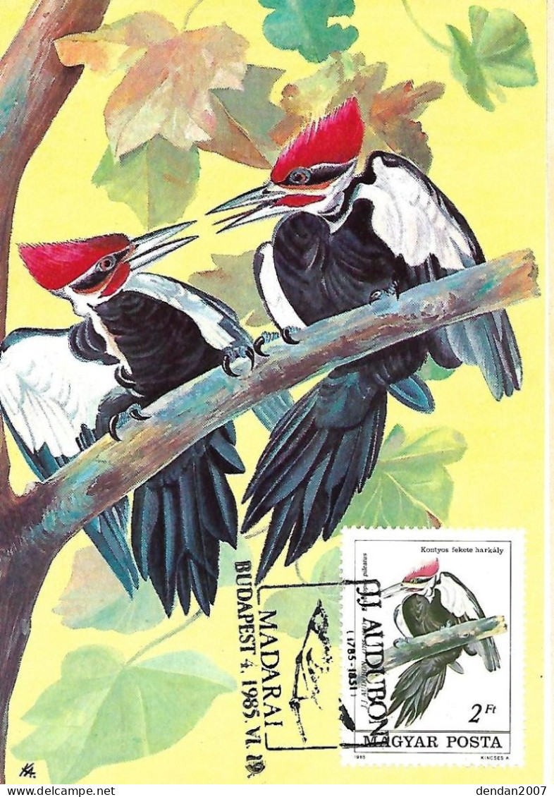 France - Maximumcard 1985 - J.J. AUDUBON :  Pileated Woodpecker  -  Dryocopus Pileatus - Spechten En Klimvogels