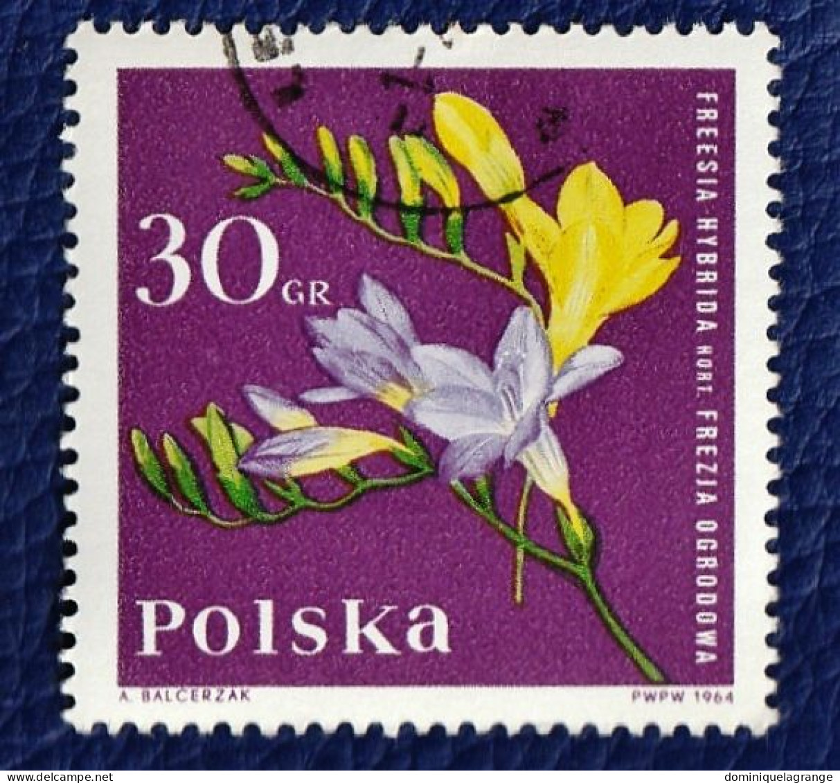 8 Timbres De Pologne "fleurs" De 1964 à 1974 - Variétés & Curiosités