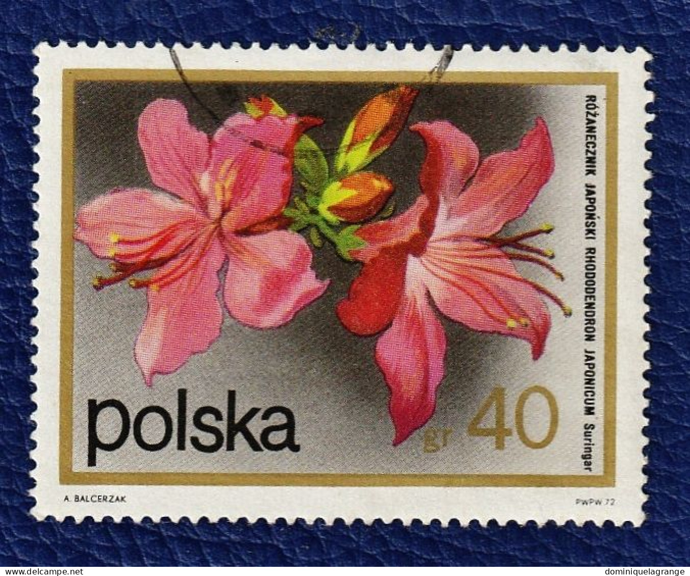 8 Timbres De Pologne "fleurs" De 1964 à 1974 - Errors & Oddities