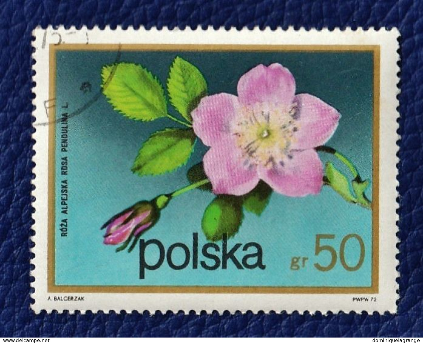 8 Timbres De Pologne "fleurs" De 1964 à 1974 - Errors & Oddities