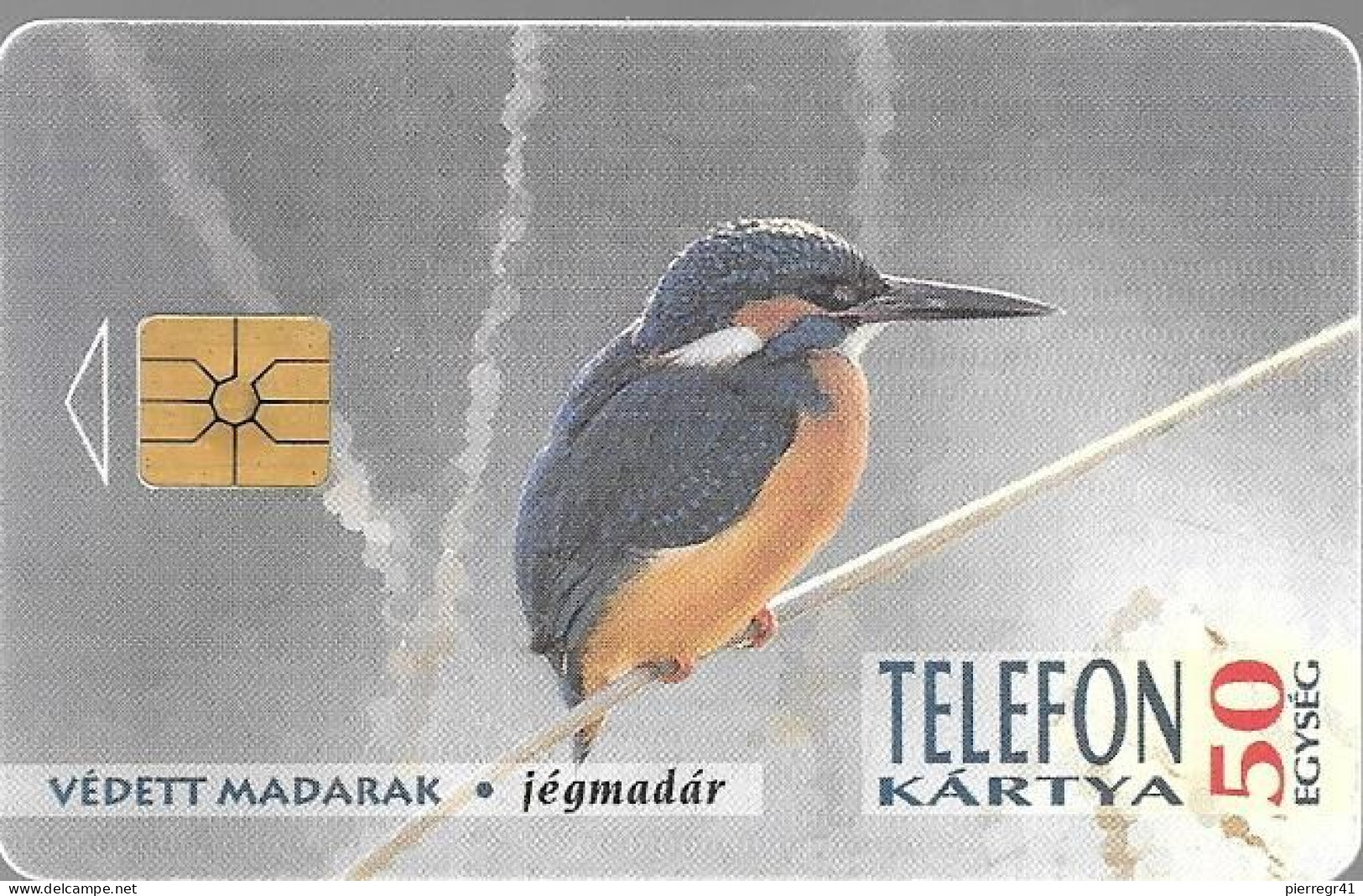 CARTE-PUCE-HONGRIE1994-MARTIN PECHEUR-TBE- - Zangvogels