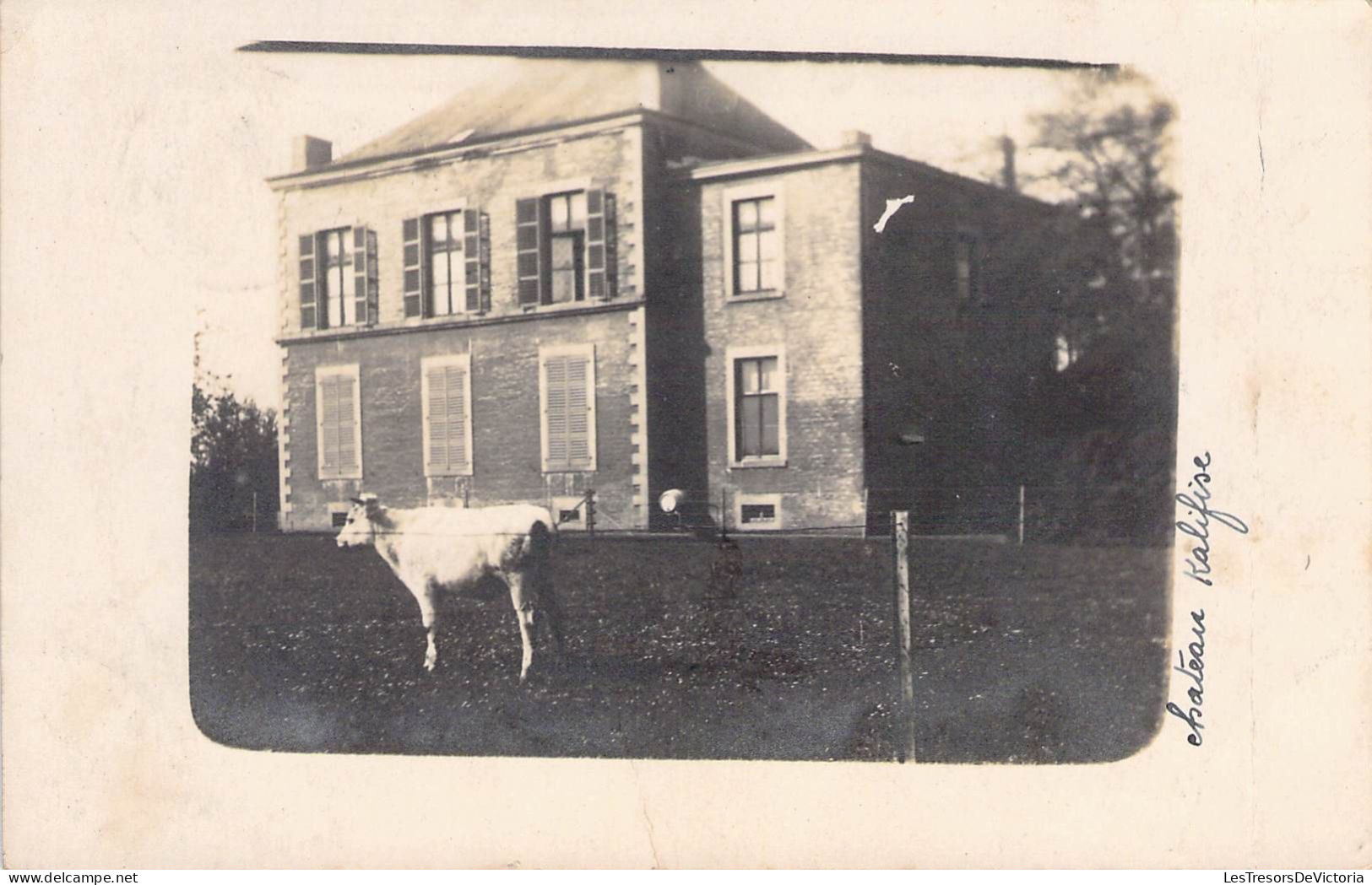 Château  Kalifise - Vache - Carte Photo - Cachet Spécial Huy - Carte Postale Ancienne - Castles