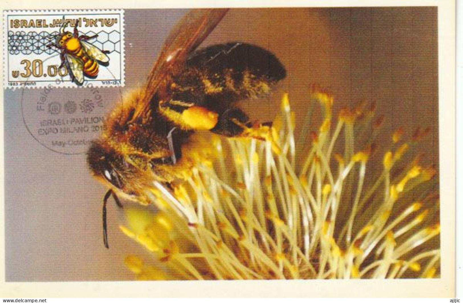 ISRAEL.  Préservation De L'Abeille, Carte-maximum Vendue Au Pavillon Israel De L'Expo Universelle Milan 2015 - Abeilles