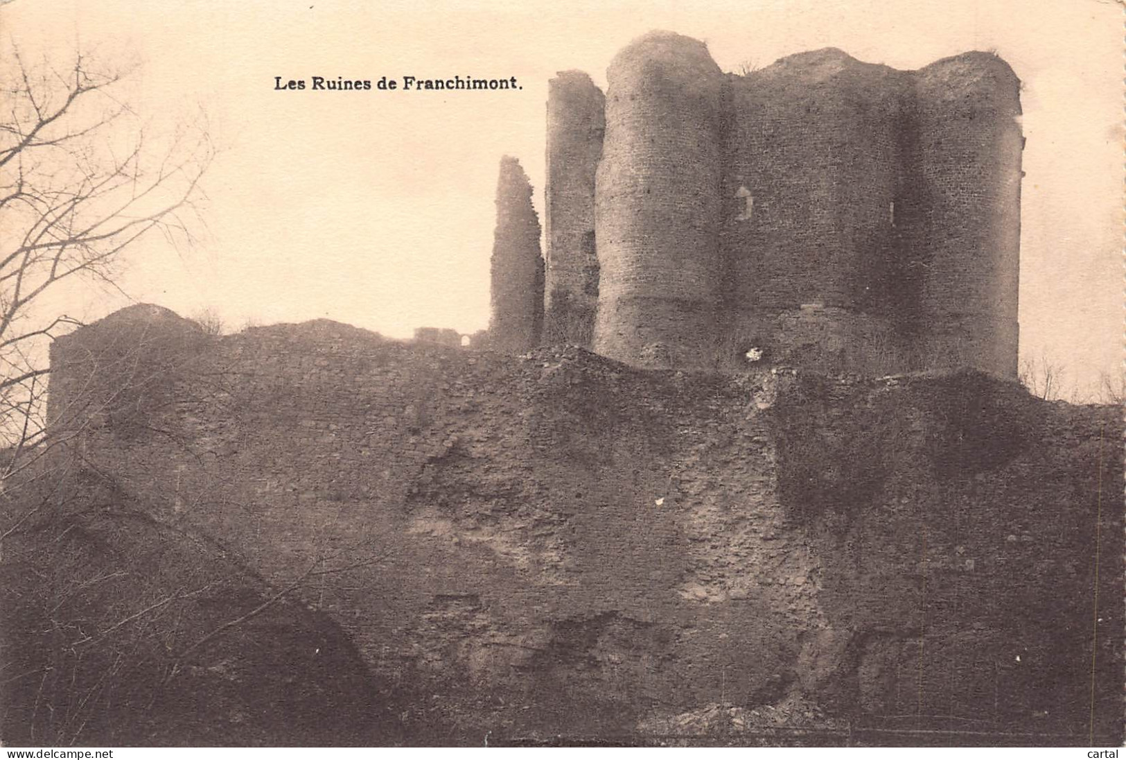 Les Ruines De Franchimont. - Theux