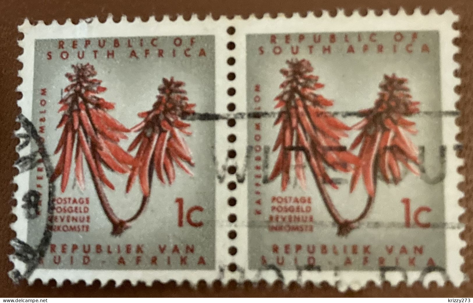 South Africa 1961 Flower Erythrina Lysistemon 1 C - Used X2 - Used Stamps