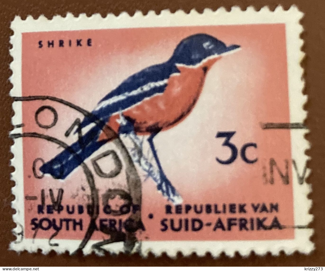 South Africa 1961 Bird Laniarius Atrococcineus 3 C - Used - Used Stamps