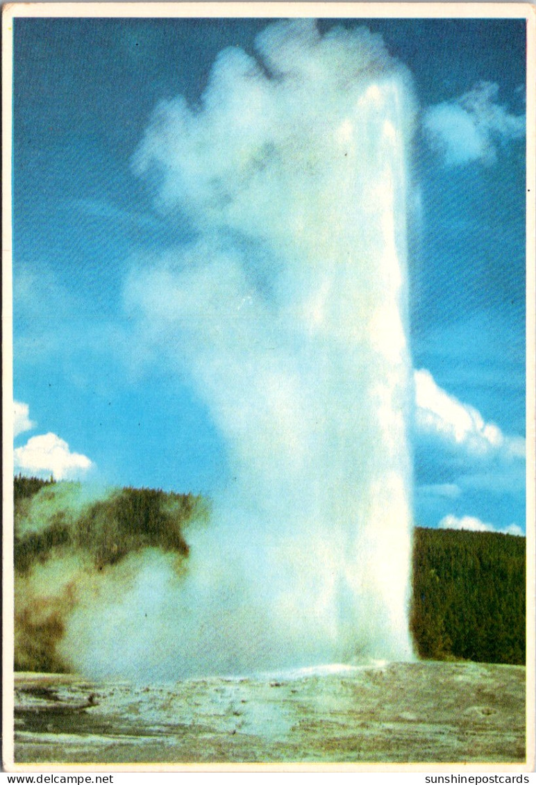 Yellowstone National Park Old Faithful Geyser - Parques Nacionales USA