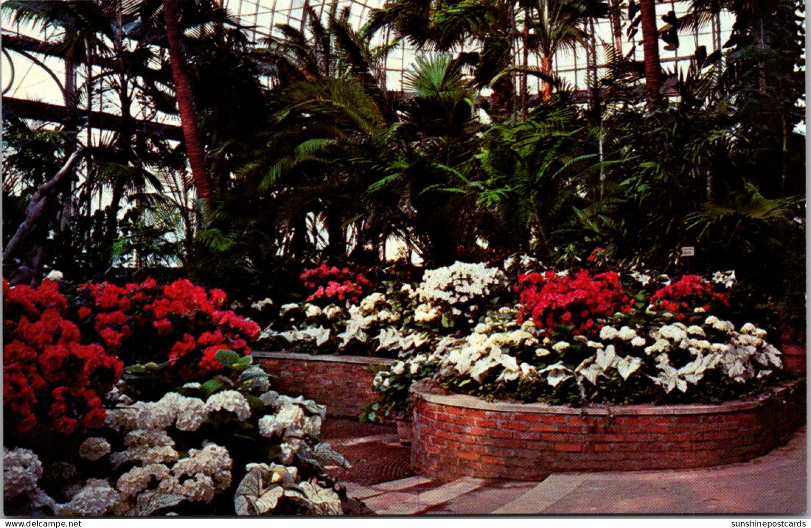 Pennsylvania Pittsburgh Phipps Conservatory Spring Flower Show The Palm Court - Pittsburgh