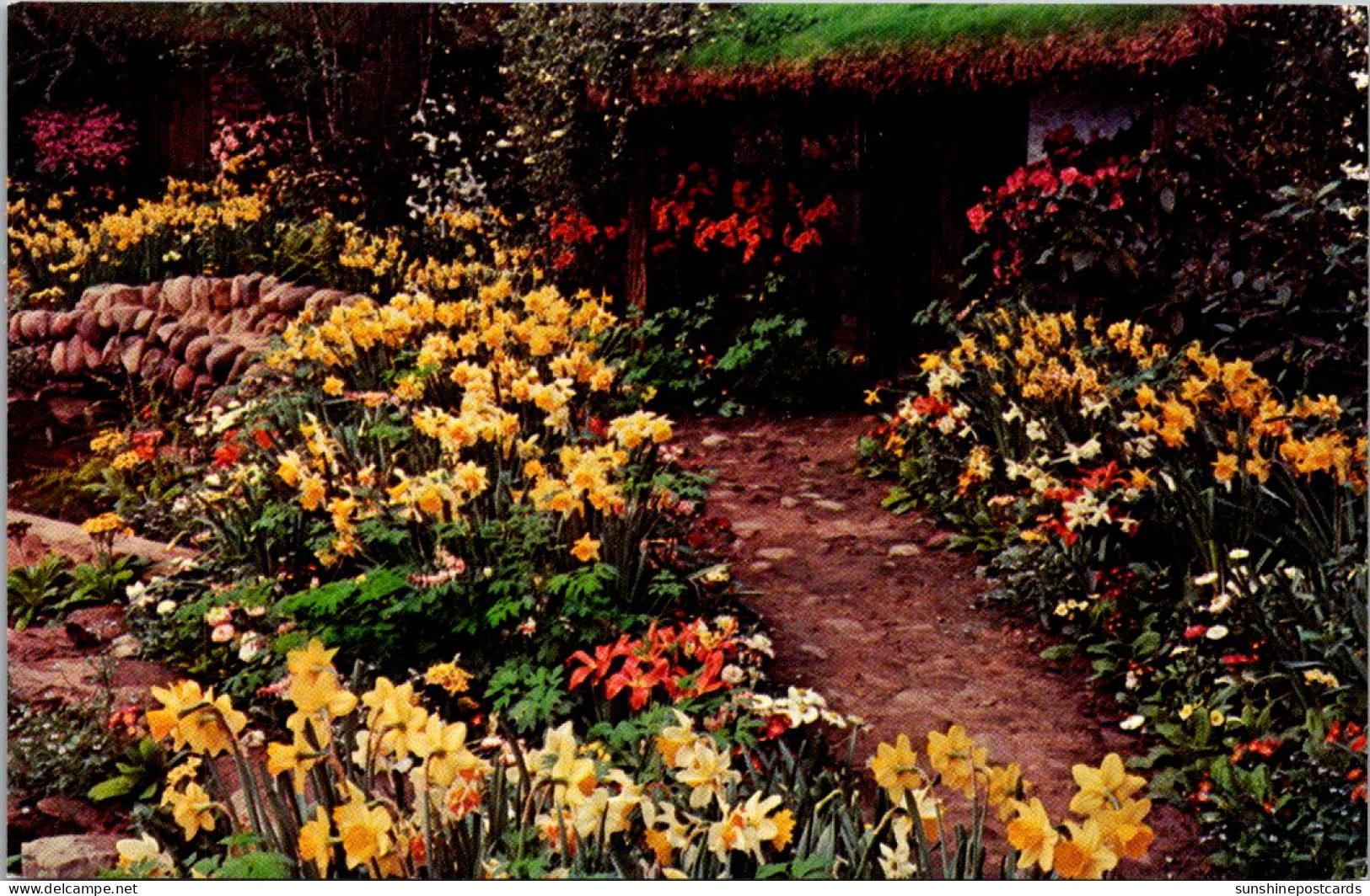 Pennsylvania Pittsburgh Phipps Conservatory Spring Flower Show The Rustic Garden - Pittsburgh