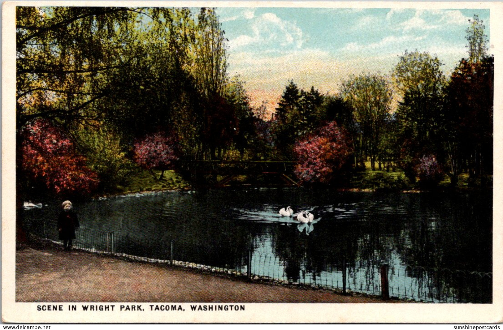 Washington Tacoma Scene In Wright Park - Tacoma