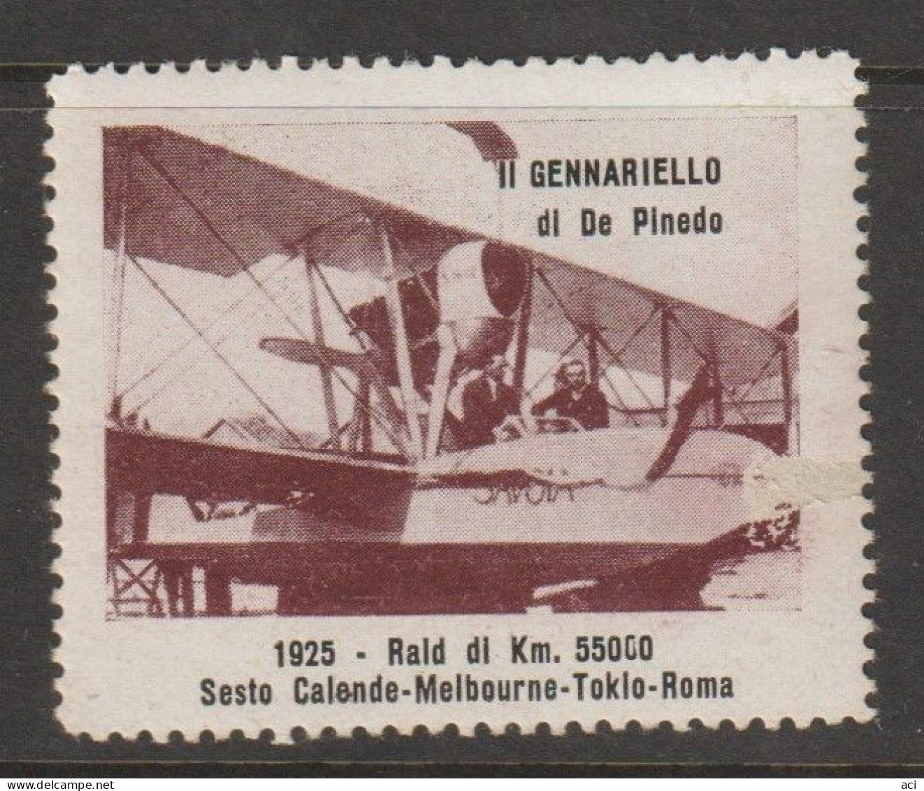 Italy Cinderella Vignetta Erinnofilia ,1925 Il Gennariello Di De Pinedo,mint Never Hinged, - Aufkleber