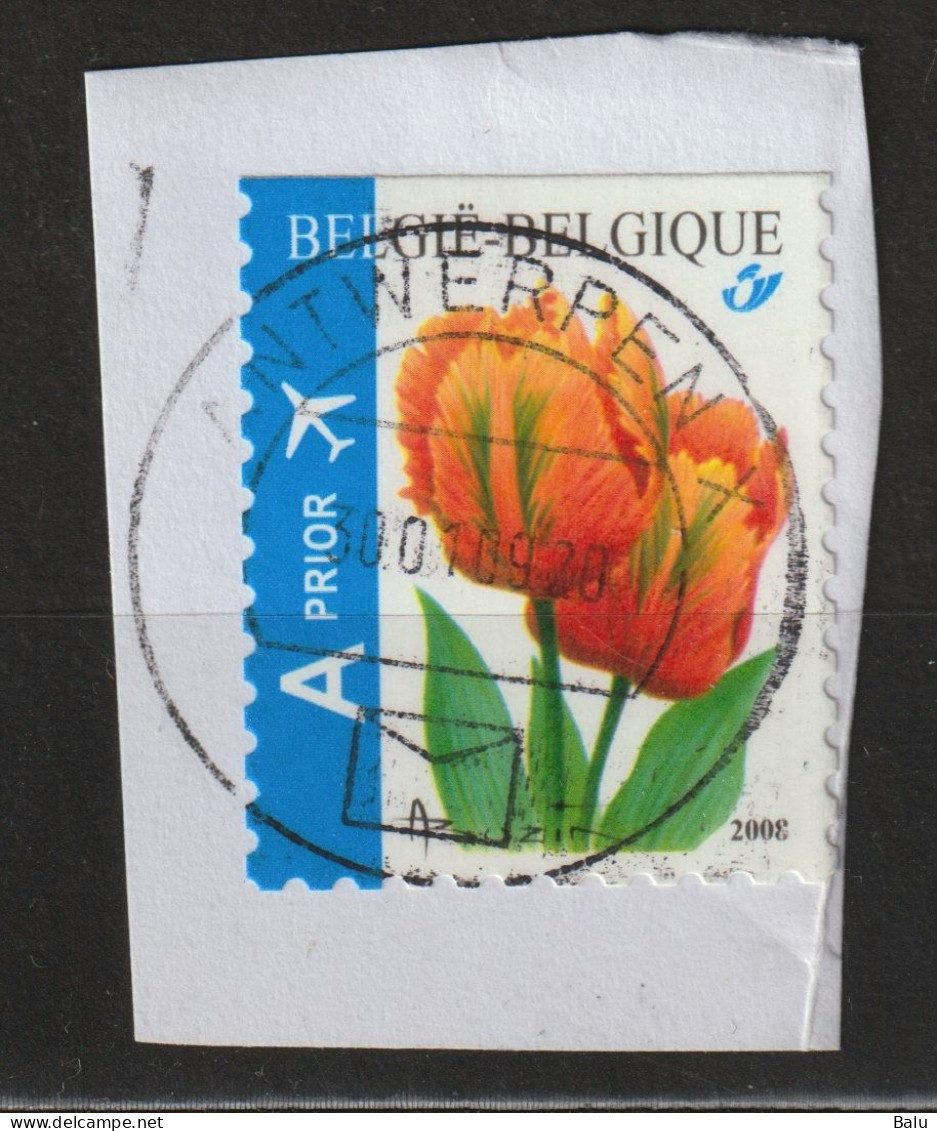 Belgien 2008 A PRIOR Oben Geschnitten, Abart "200E" Michel 3833Do, Yvert 3768 Tulpen Tulipe 3786 - Zonder Classificatie