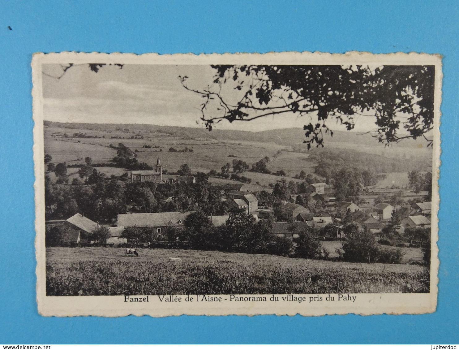 Fanzel Vallée De L'Aisne Panorama Du Village Pris Du Pahy - Erezée