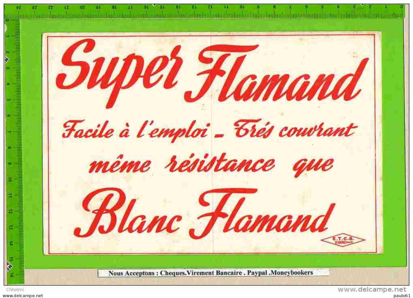 BUVARD  :Super FLAMAND  Saint ANDRE - Paints