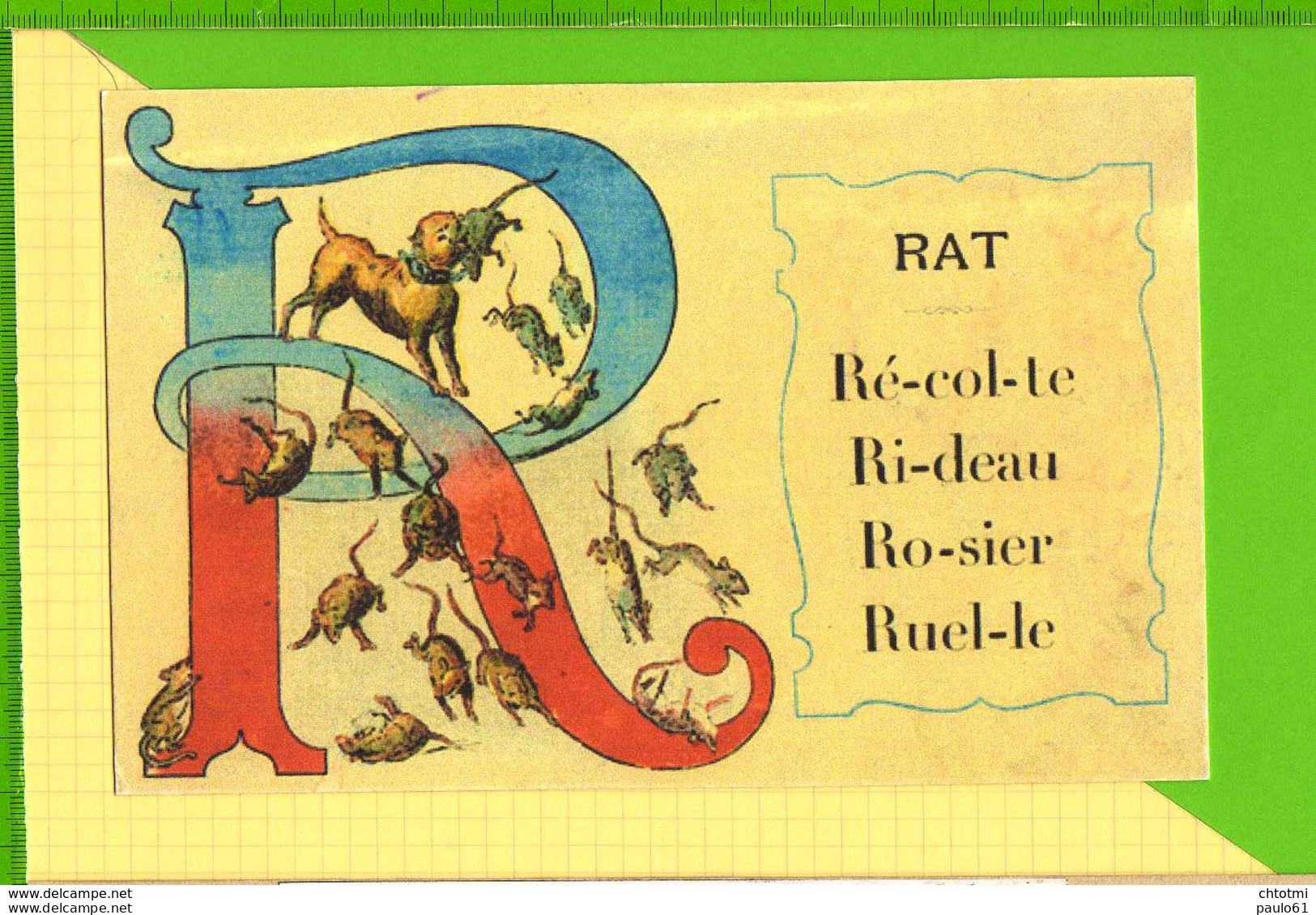 BUVARD & Blotting Paper : R Rat  Beau Graphisme - Dieren