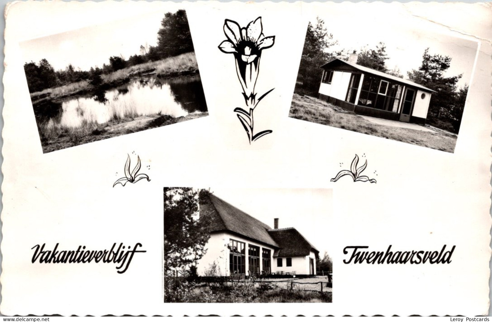 #3508 - Holten, Vakantieverblijf Twenhaarsveld 1962 (OV) - Holten