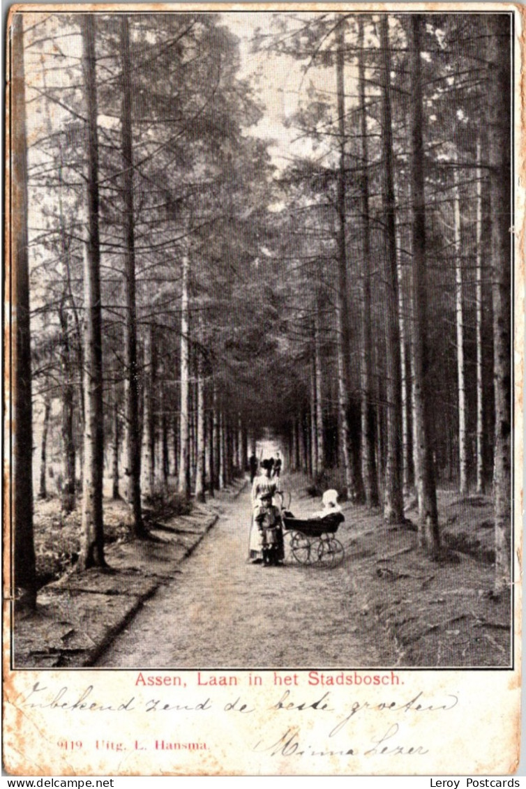 #3524 - Assen, Laan In Het Stadsbosch 1907 (DR) - Assen