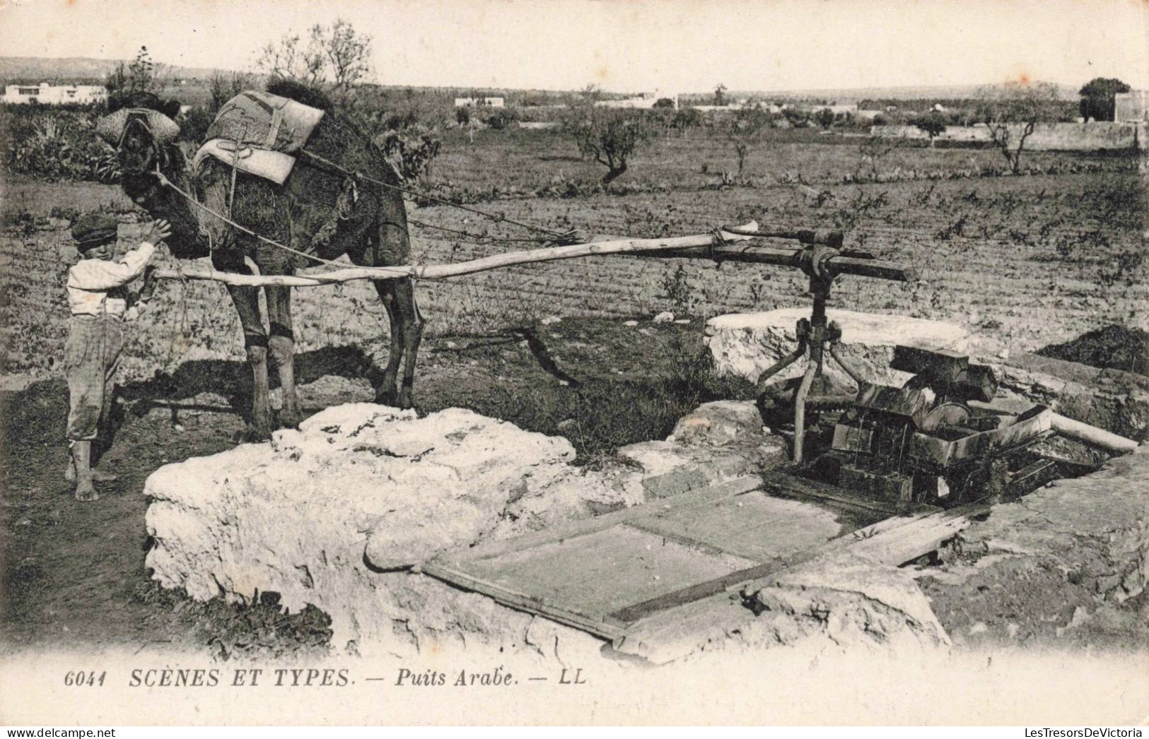 ALGERIE - Scènes Et Types - Puits Arabes - LL - Dromadaire - Enfant - Carte Postale Ancienne - Scènes & Types