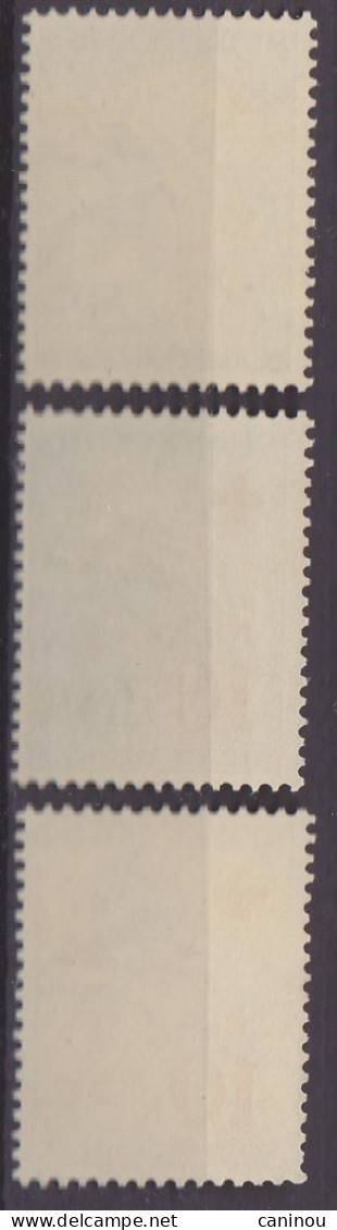 NOUVELLE-GUINEE NEERLANDAISE   Y & T 36/48 CROIX-ROUGE  OISEAUX DE PARADIS SURCHARGES 1955 NEUFS SANS CHARNIERES - Autres - Océanie