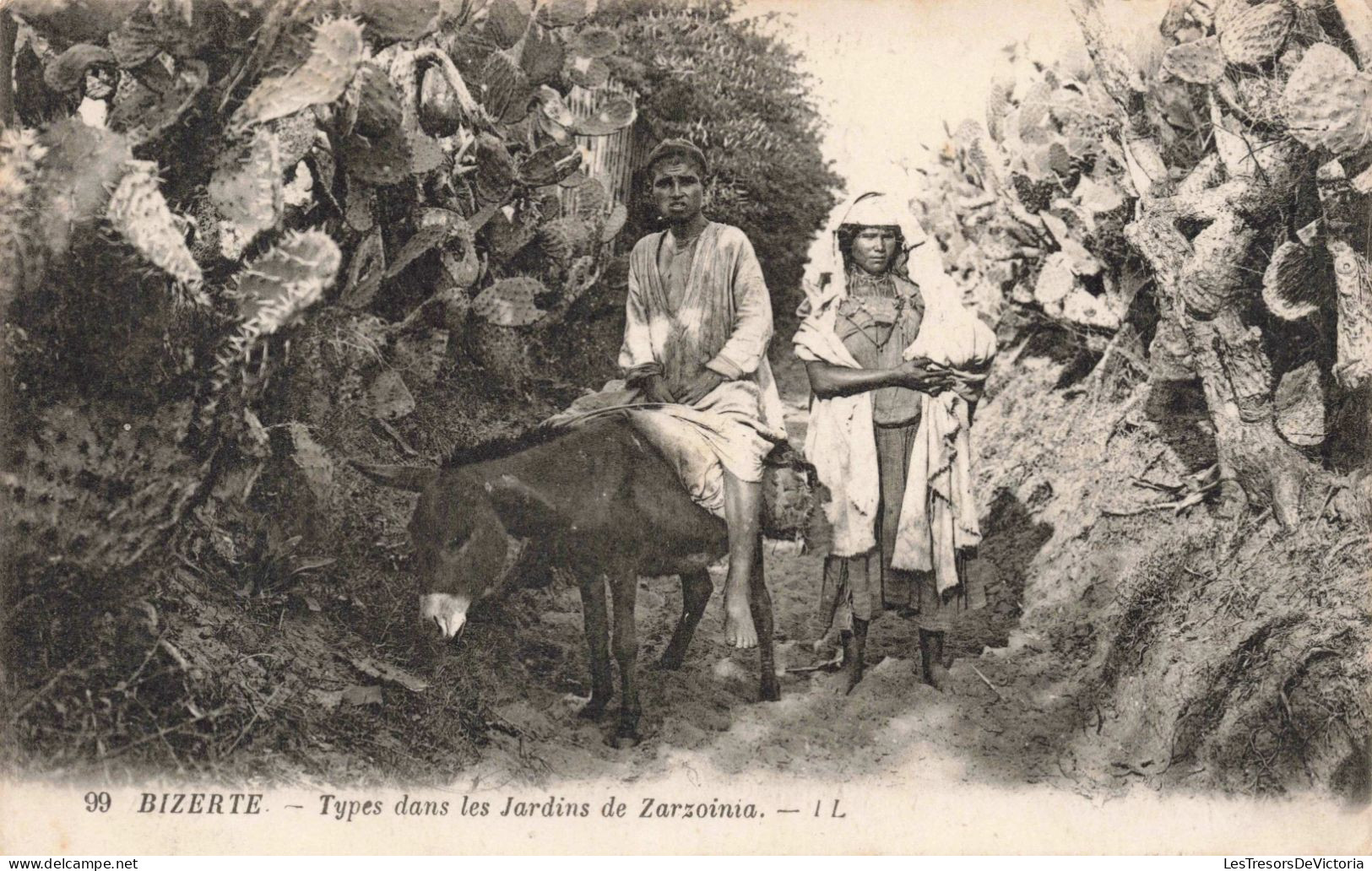 TUNISIE - Bizerte - Types Dans Les Jardins De Zarzoinia - LL - Cactus - Âne - Carte Postale Ancienne - Tunesien