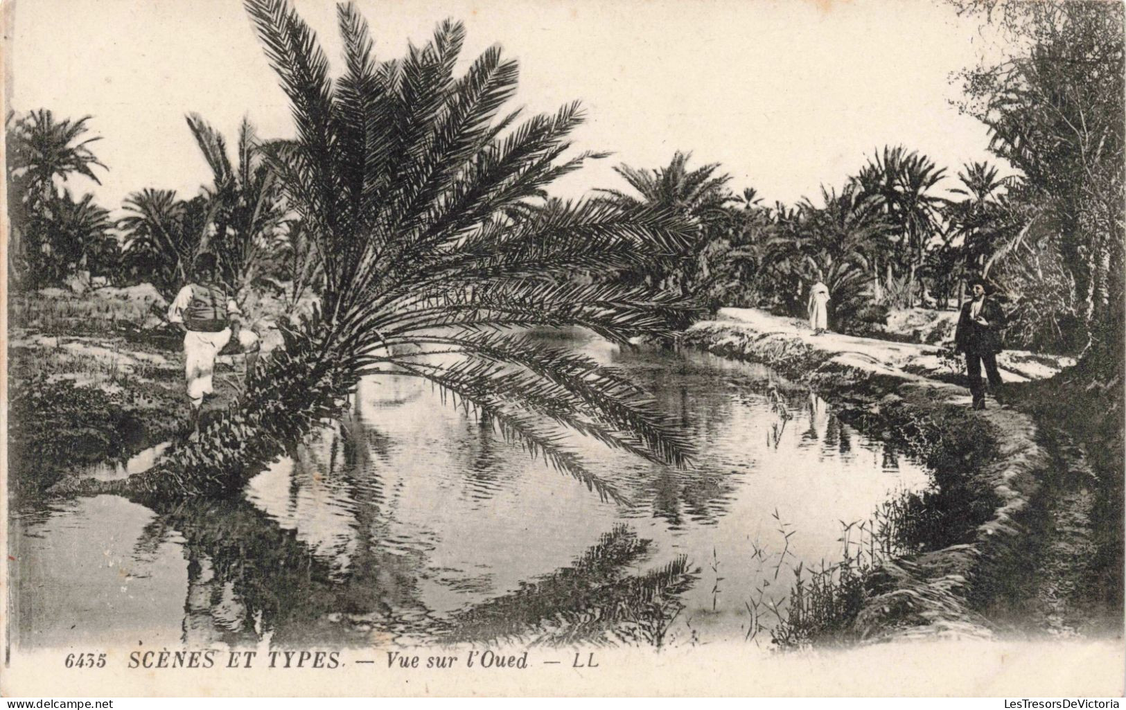 ALGERIE - Scènes Et Types - Vue Sur L'Oued - LL - Oasis - Palmiers  - Carte Postale Ancienne - Szenen