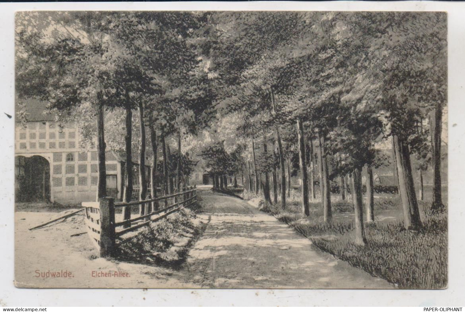 2831 SCHWAFÖRDEN - SUDWALDE, Eichen - Allee, 1915 - Diepholz