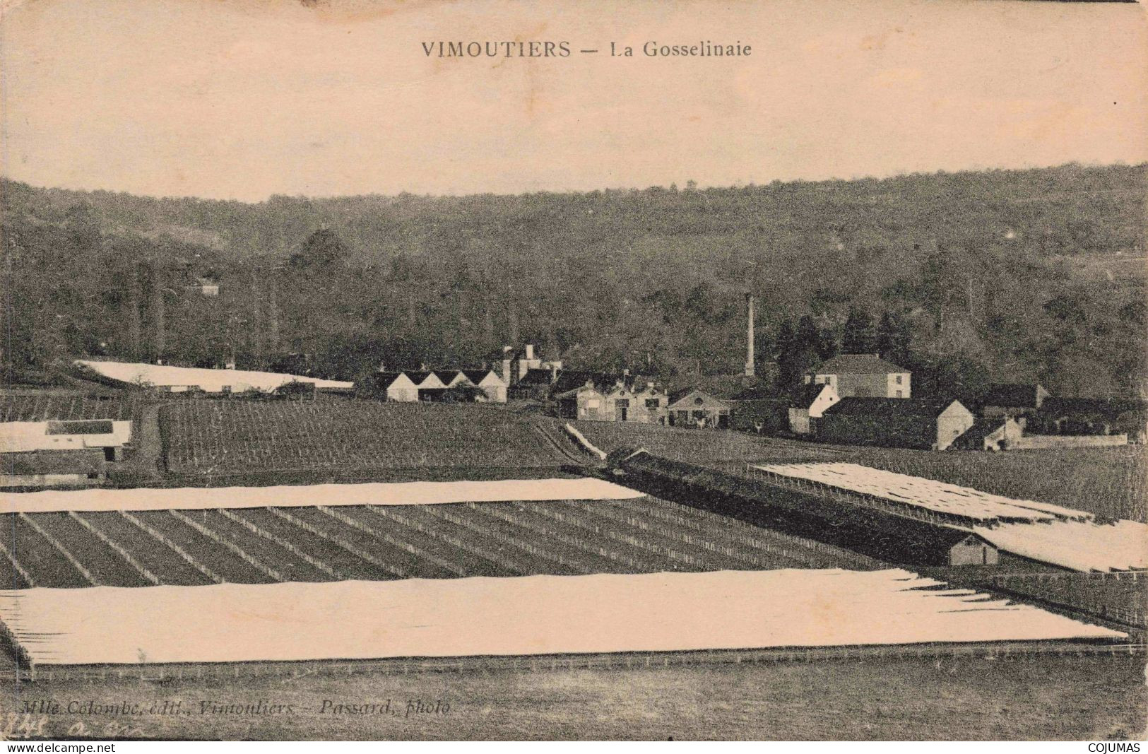 61 - VIMOUTIERS - S20129 - La Gosselinaie - Vimoutiers