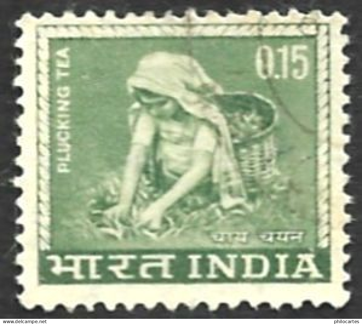 INDE   1965 -  YT  193 -  Cueillette Du Thé - Oblitéré - Used Stamps