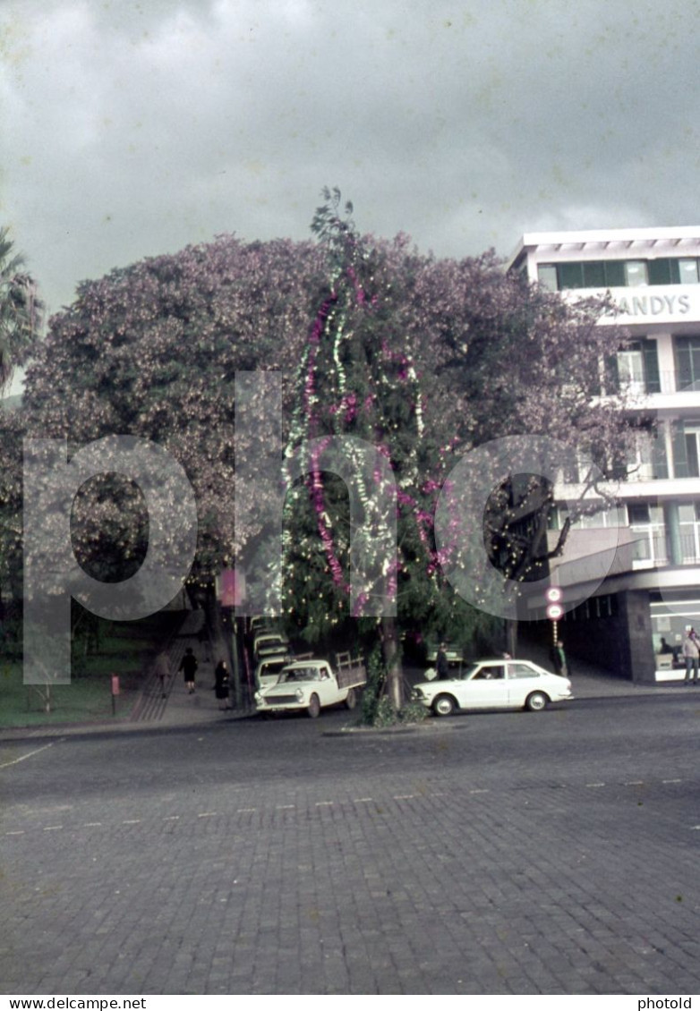 10 SLIDES SET FUNCHAL MADEIRA PORTUGAL 35mm DIAPOSITIVE SLIDE NO PHOTO FOTO NB2648